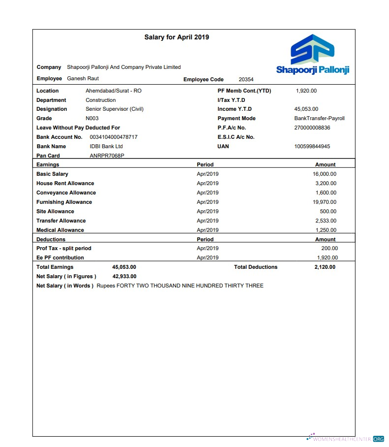 Download Shapoorji Pallonji employee pay stub in PDF and Word formats Photoshop template